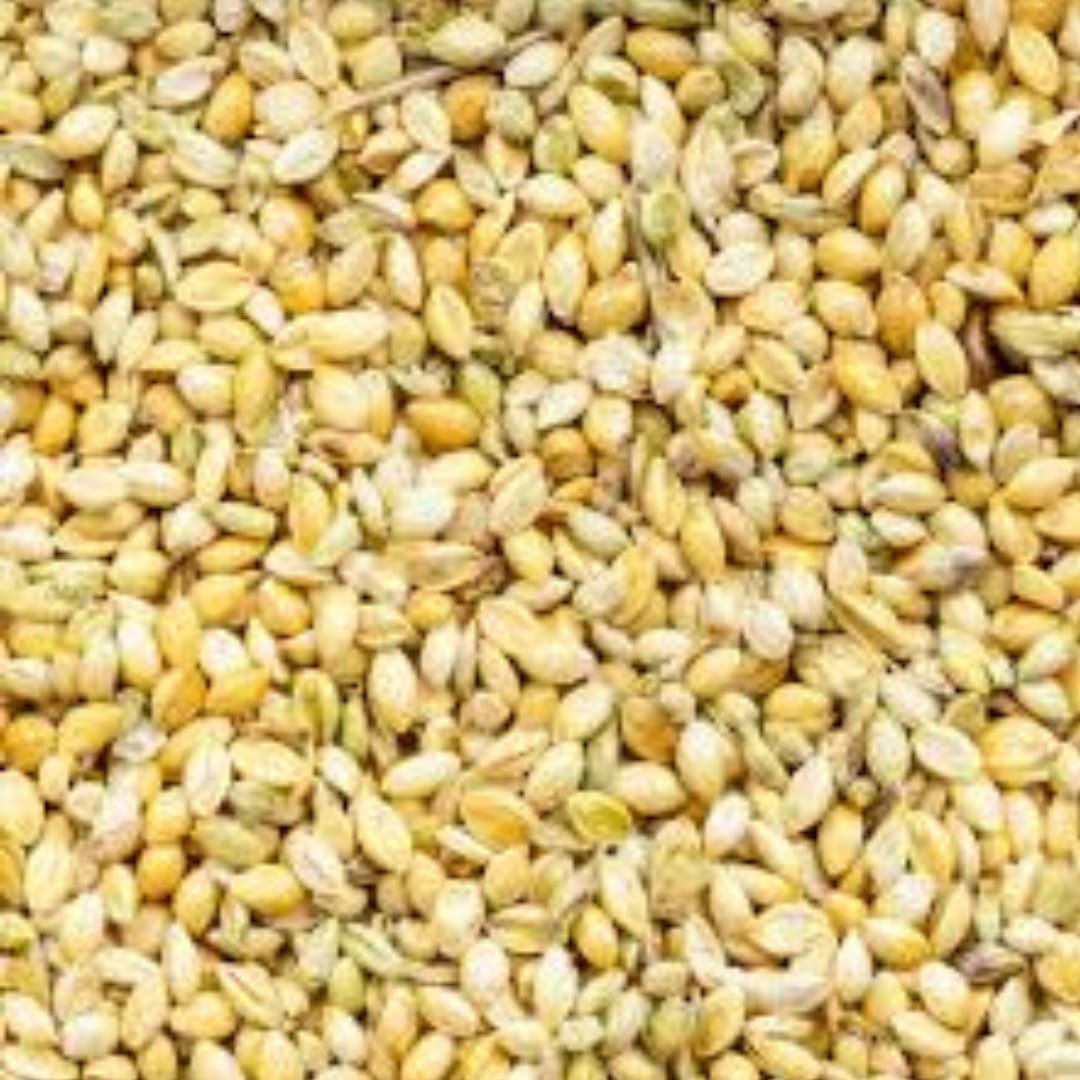 Types of millets and their benefits