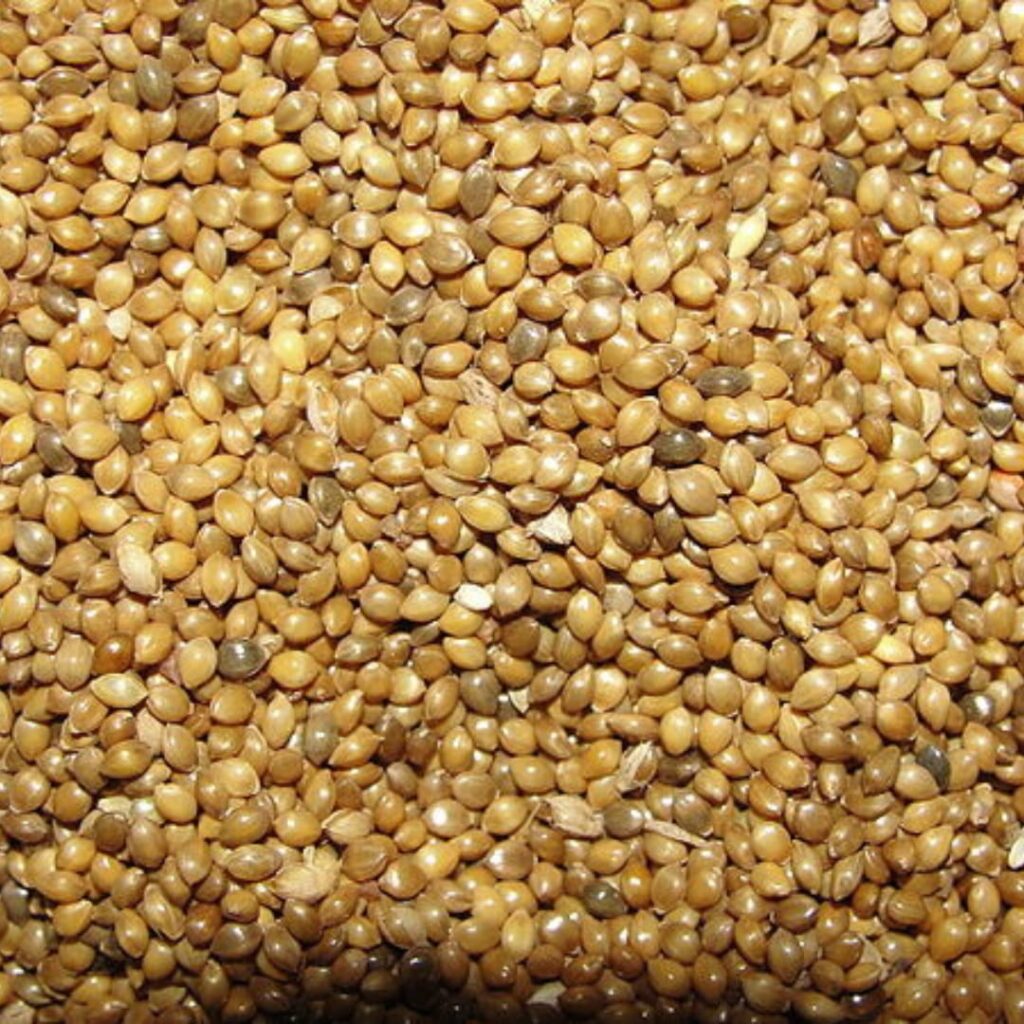 Types of millets and their benefits