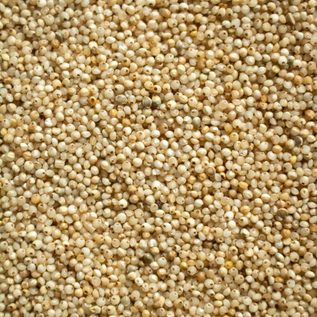 Types of millets and their benefits