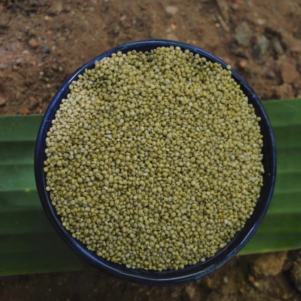 Types of millets and their benefits