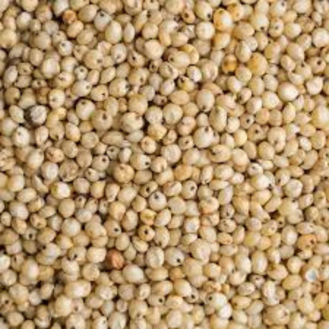 Types of millets and their benefits