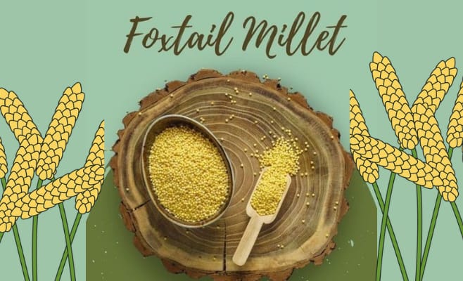 Foxtail millets