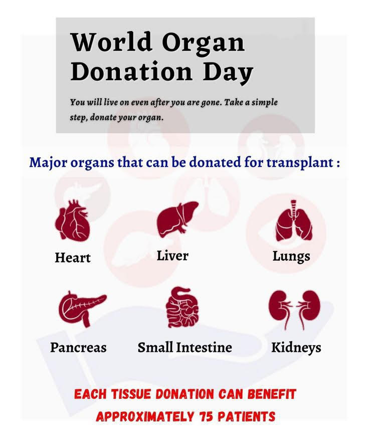 world organ donation day