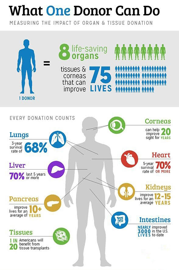 world organ donation day